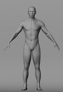 Human Male Base Mesh