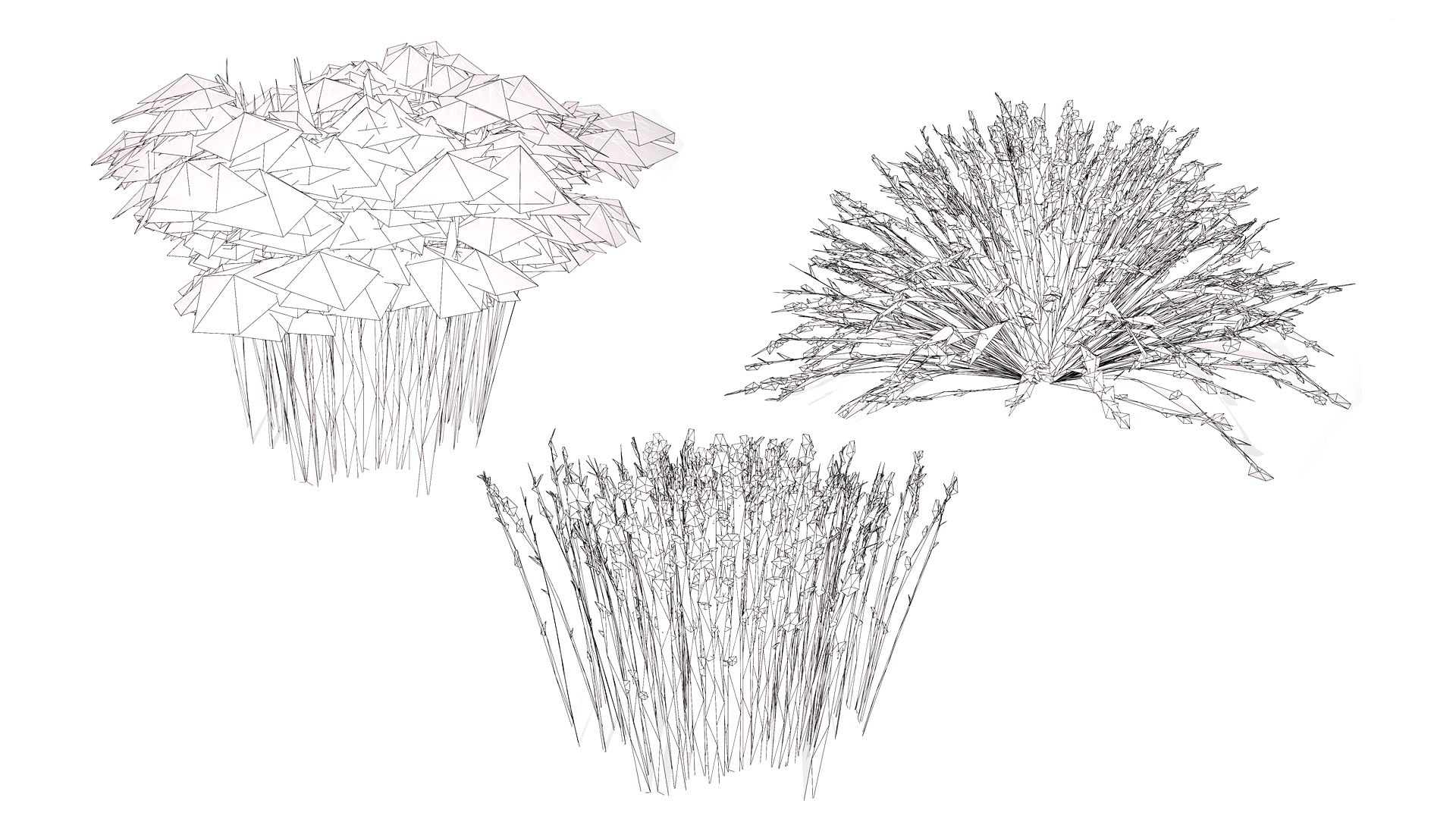 Cape Restio Plant 3D Model Pack 3D model https://p.turbosquid.com/ts-thumb/YP/8qOfb3/98/wirel/jpg/1755953257/1920x1080/fit_q87/a358c755f84f15f3eb4bbfb8623935b396d0d194/wirel.jpg