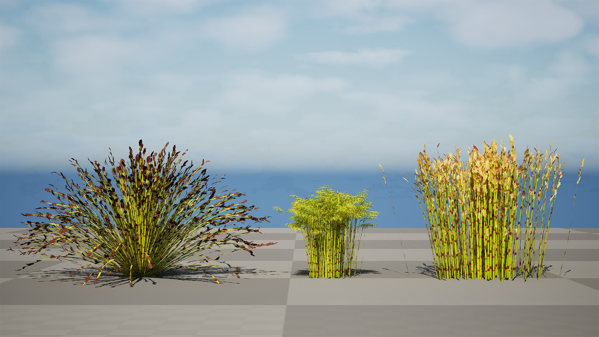 Cape Restio Plant 3D Model Pack 3D model https://p.turbosquid.com/ts-thumb/YP/8qOfb3/GS/highresscreenshot00000/jpg/1755953252/1920x1080/fit_q87/d5bb2cd41aa6417cfa348da2577815dec203a79d/highresscreenshot00000.jpg