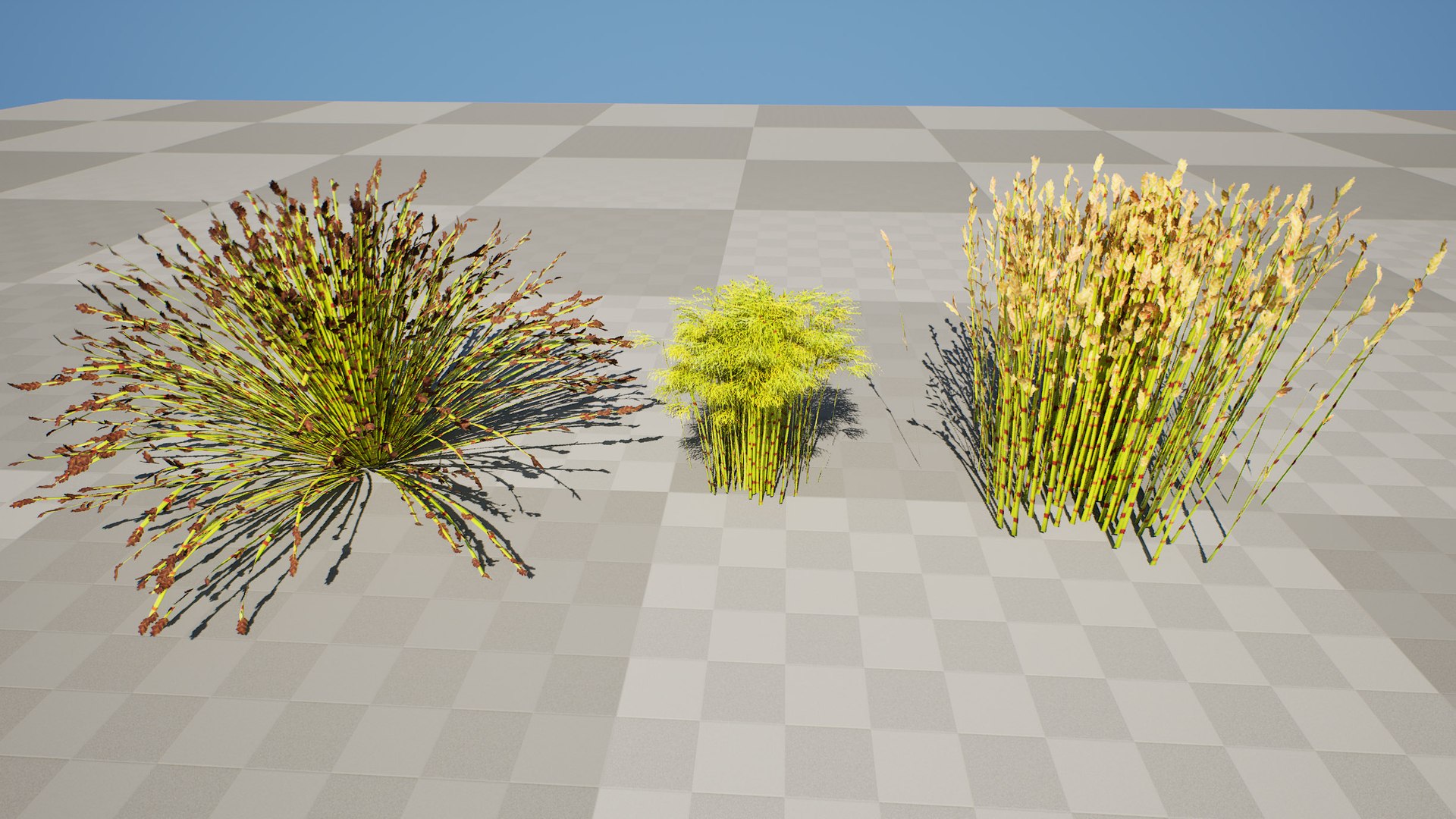 Cape Restio Plant 3D Model Pack 3D model https://p.turbosquid.com/ts-thumb/YP/8qOfb3/nu/highresscreenshot00001/jpg/1755953262/1920x1080/fit_q87/17d5e12de8bb67dfcb9e0fbe8510636cd8f66b2d/highresscreenshot00001.jpg