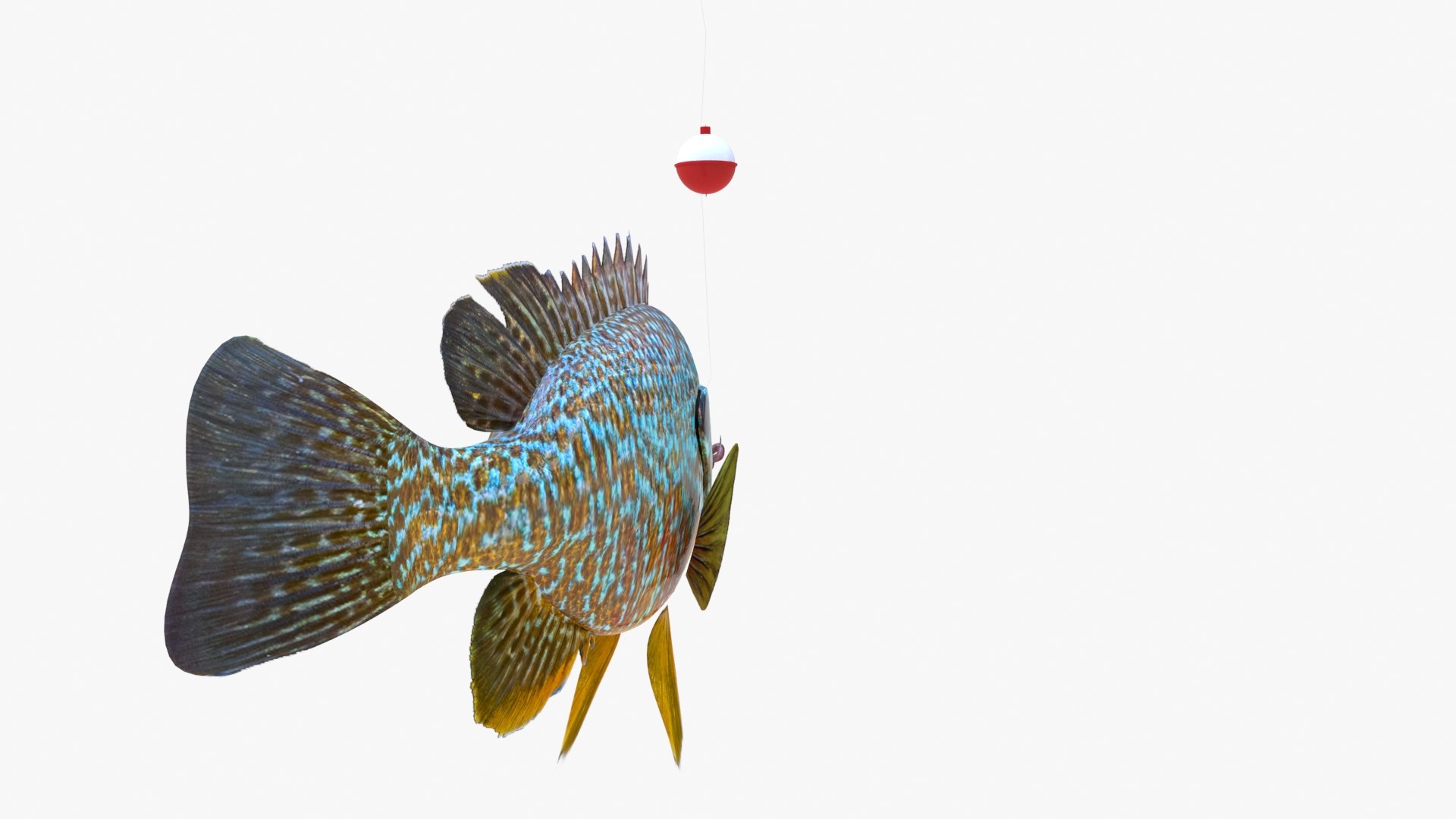 Animation Fish Model - TurboSquid 1523577