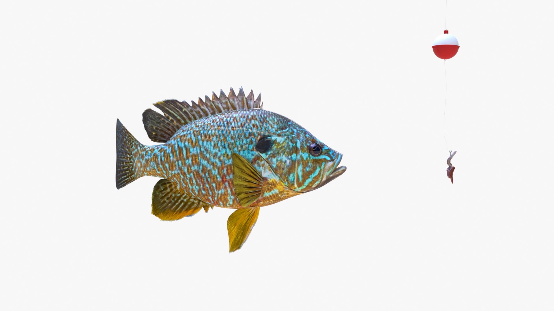 Animation Fish Model - TurboSquid 1523577