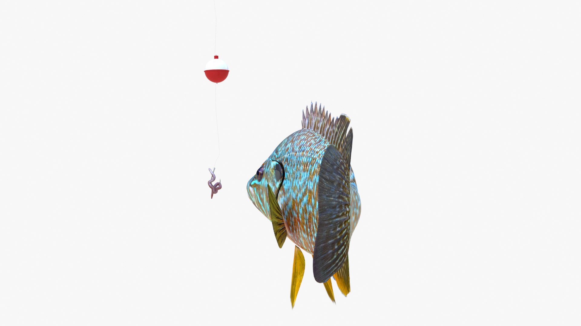 Animation Fish Model - TurboSquid 1523577