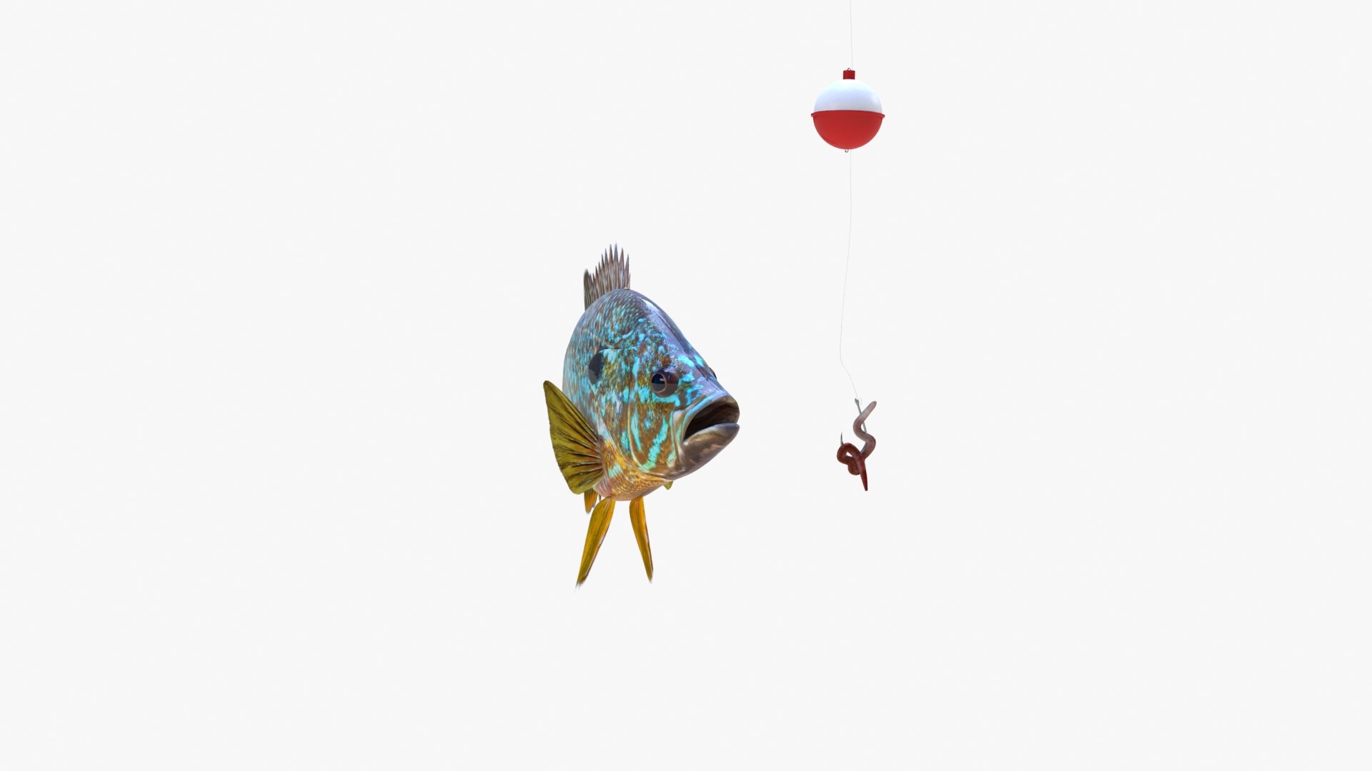 Animation Fish Model - TurboSquid 1523577