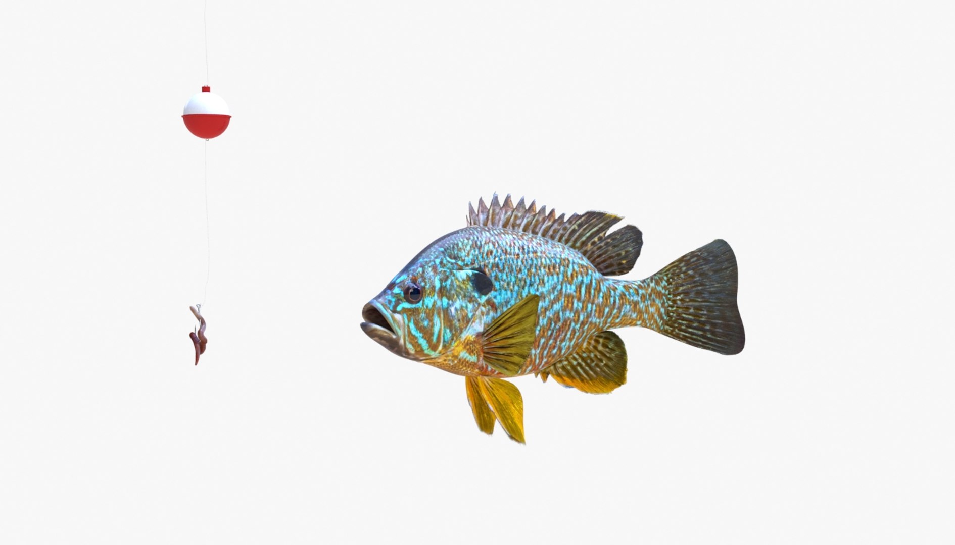 Animation Fish Model - TurboSquid 1523577