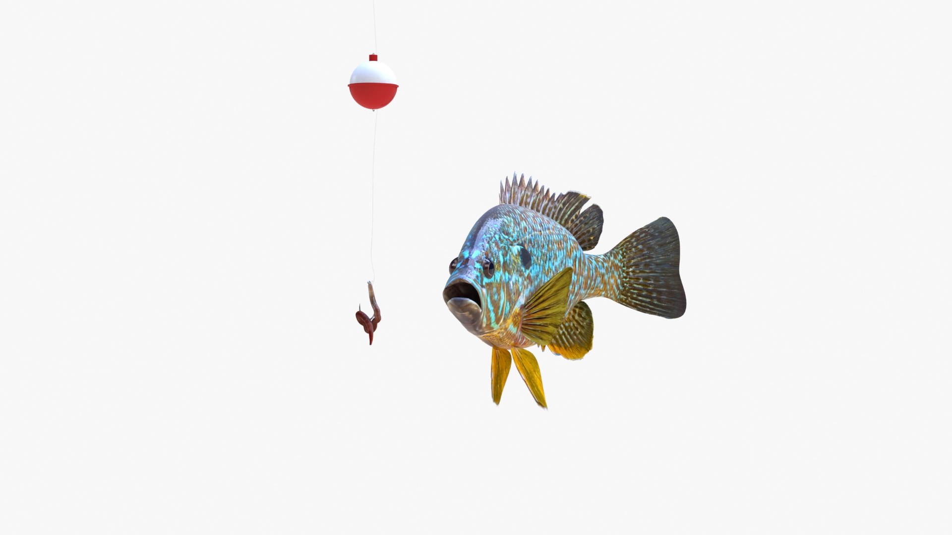 Animation Fish Model - TurboSquid 1523577