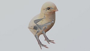 3D Rigged  and Animated bird chick OBJ and BLEND