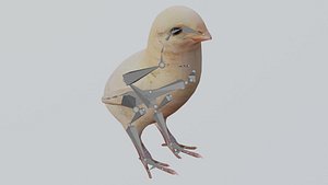 Rigged and Animated bird chick OBJ and BLEND