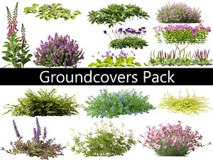3D model Groundcovers Pack 23