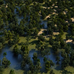 3D generic trees model