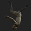 Modelo 3D caindo - anatomia masculina