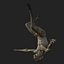 Modelo 3D caindo - anatomia masculina