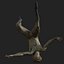 Modelo 3D caindo - anatomia masculina