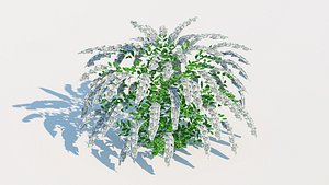 3D spirea