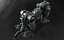 Panzerhund 1960