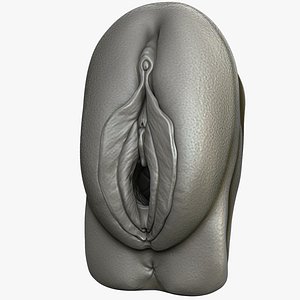 Realistic Anatomy of a Vagina for Study