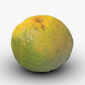 Tangerine Low Poly 3D model