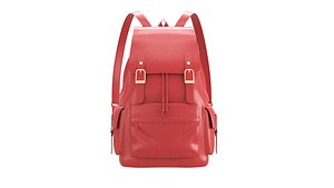Laptop Backpack Leather