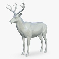 Deer