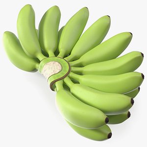 3D Unripe Green Banana Bunch