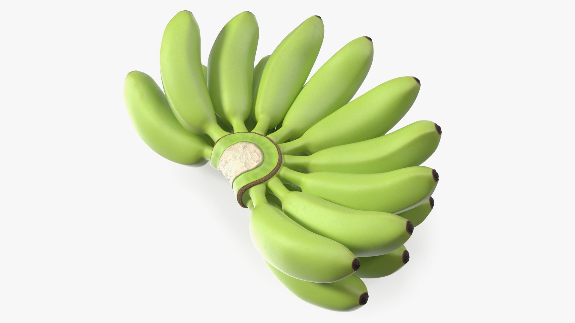 Unripe Green Banana Bunch 3D model preview