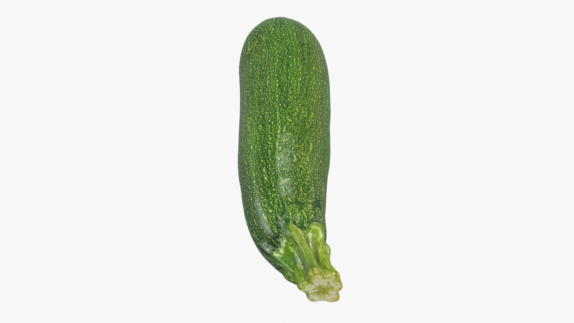 Whole Zucchini Collection 3D https://p.turbosquid.com/ts-thumb/YQ/vOKAEz/Ds/zucchini_03/jpg/1688380987/1920x1080/turn_fit_q99/06f2399517e81511582c82aaa7b222484f3ed427/zucchini_03-1.jpg