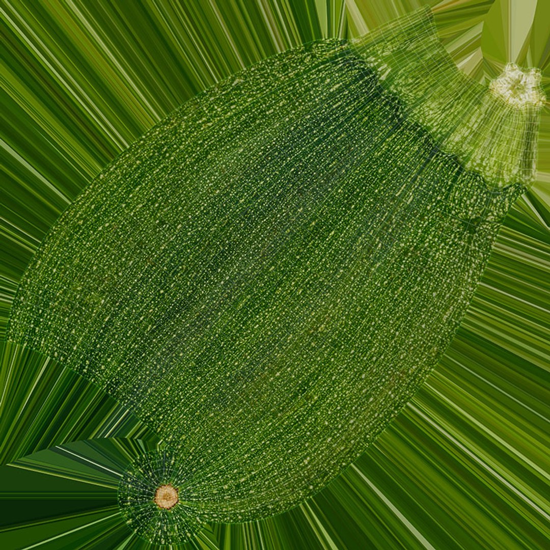 Whole Zucchini Collection 3D https://p.turbosquid.com/ts-thumb/YQ/vOKAEz/gr/zucchini_03_d0004/jpg/1688380981/1920x1080/fit_q87/da7a8eff32c89d7e19bfae88fcc239869850d21b/zucchini_03_d0004.jpg