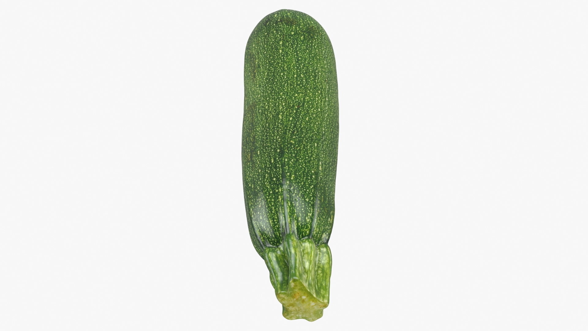 Whole Zucchini Collection 3D https://p.turbosquid.com/ts-thumb/YQ/vOKAEz/mX/zucchini_01/jpg/1688132970/1920x1080/turn_fit_q99/c1137bcb350335886fc31161fa417417827529eb/zucchini_01-1.jpg