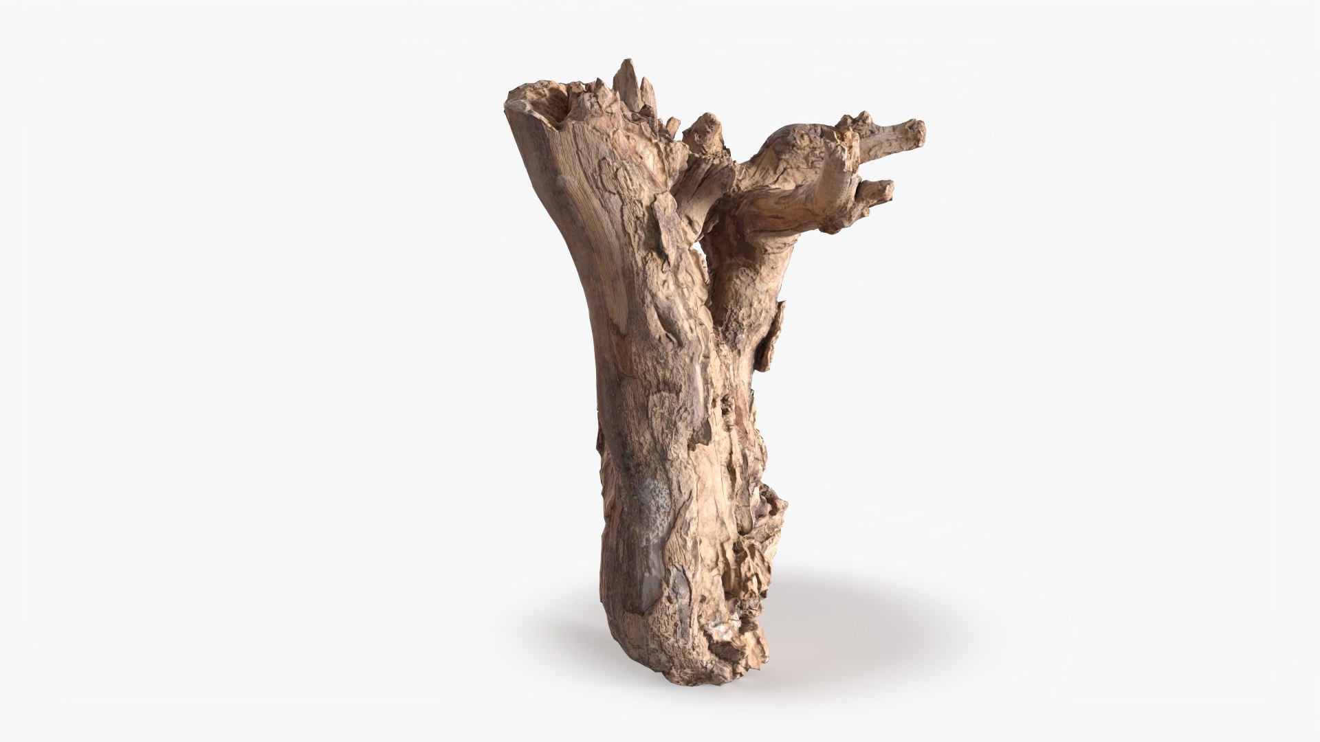 3D Grapevine Bark 3D Scanned 11 StemCell https://p.turbosquid.com/ts-thumb/YQ/vRHhj1/iP/grapevine_11_p02/jpg/1726478203/1920x1080/fit_q87/920158d07364a0b008071d1dd8bc904e68459178/grapevine_11_p02.jpg