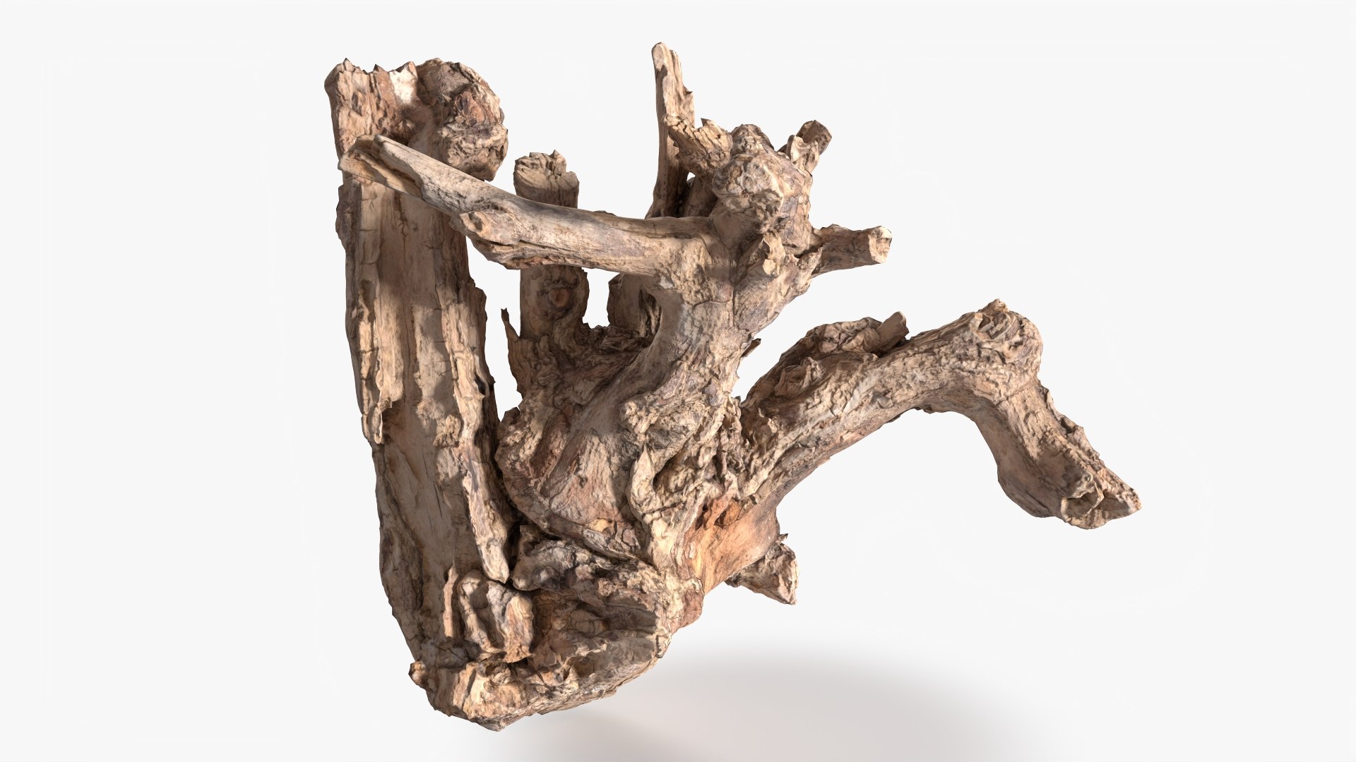 3D Grapevine Bark 3D Scanned 11 StemCell https://p.turbosquid.com/ts-thumb/YQ/vRHhj1/oG/grapevine_11_context/jpg/1726478200/1920x1080/fit_q87/13d2b990e458bf768bee637f1b04202595d397a8/grapevine_11_context.jpg