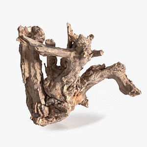 3D Grapevine Bark 3D Scanned 11 StemCell