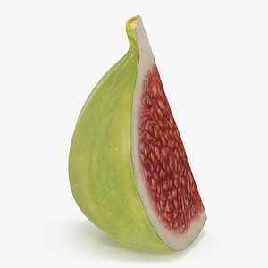 Green Fig Fruit Quarter model