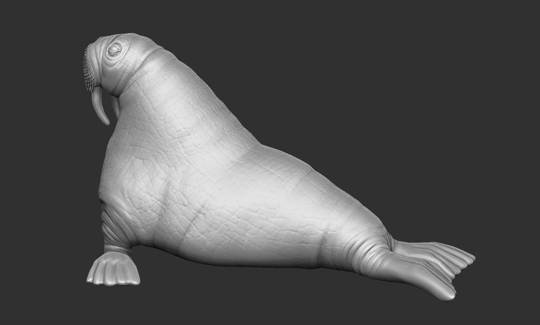 3D model walrus - TurboSquid 1360152