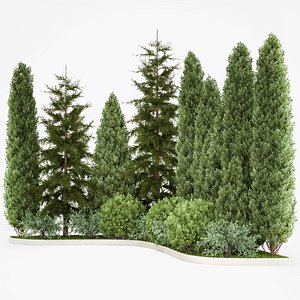 Garden of thuja and cypress trees with bushes 1153
