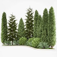 Garden of thuja and cypress trees with bushes 1153