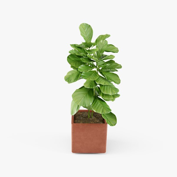 3D plant design modeled
