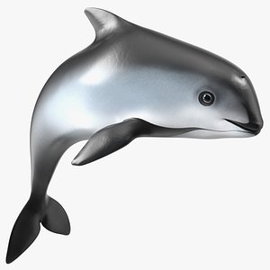 Phocoena Sinus Idle Pose