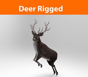 deer rigged low poly game ready