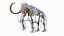 3D Adult Mammoth Old Skeleton Shell Walking Pose model