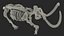 3D Adult Mammoth Old Skeleton Shell Walking Pose model