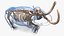 3D Adult Mammoth Old Skeleton Shell Walking Pose model
