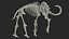 3D Adult Mammoth Old Skeleton Shell Walking Pose model