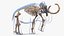 3D Adult Mammoth Old Skeleton Shell Walking Pose model