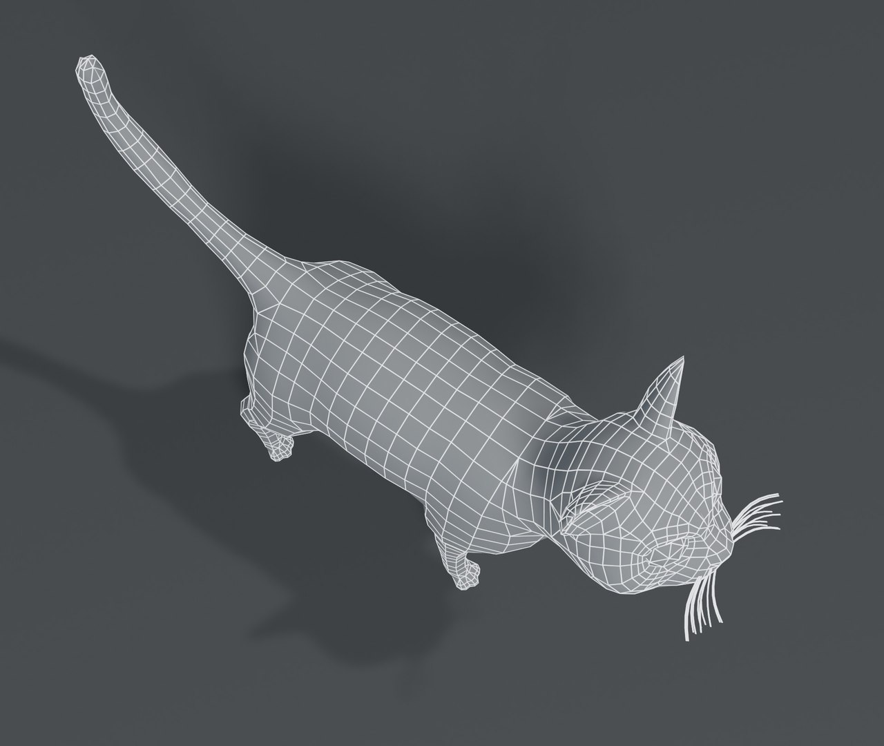cartoon cat base mesh 3D model https://p.turbosquid.com/ts-thumb/YR/nTknGM/598EVbLW/4/jpg/1587050095/1920x1080/fit_q87/25b372bd74a9a14d0ead279b169ec094ce8ab661/4.jpg