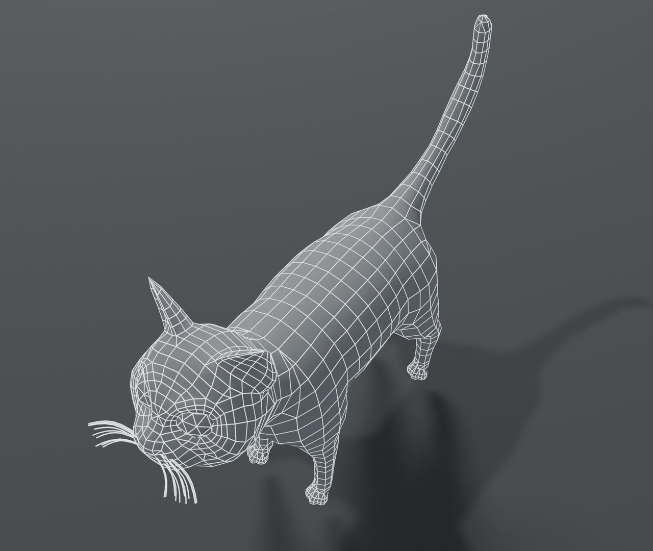 cartoon cat base mesh 3D model https://p.turbosquid.com/ts-thumb/YR/nTknGM/APT9qNNv/11/jpg/1587050177/1920x1080/fit_q87/1ad898df6e15b35085d2c0c0ed818d458f752517/11.jpg