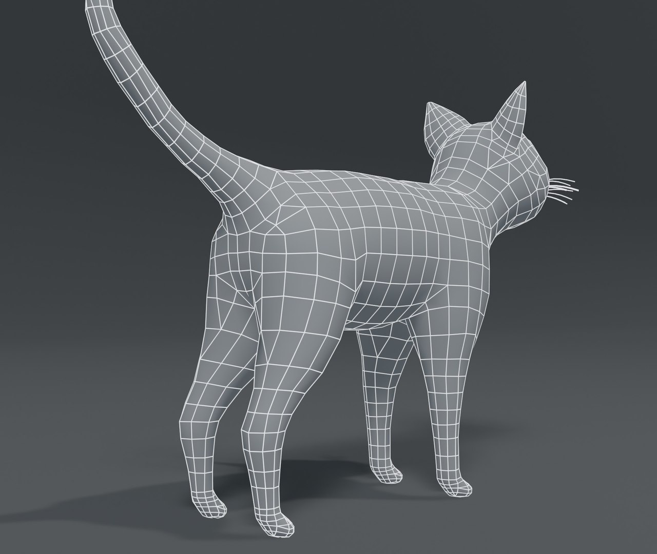cartoon cat base mesh 3D model https://p.turbosquid.com/ts-thumb/YR/nTknGM/KfXKwX2W/8/jpg/1587050146/1920x1080/fit_q87/e9aced31826c55055b122c435177b01ebcbe137d/8.jpg