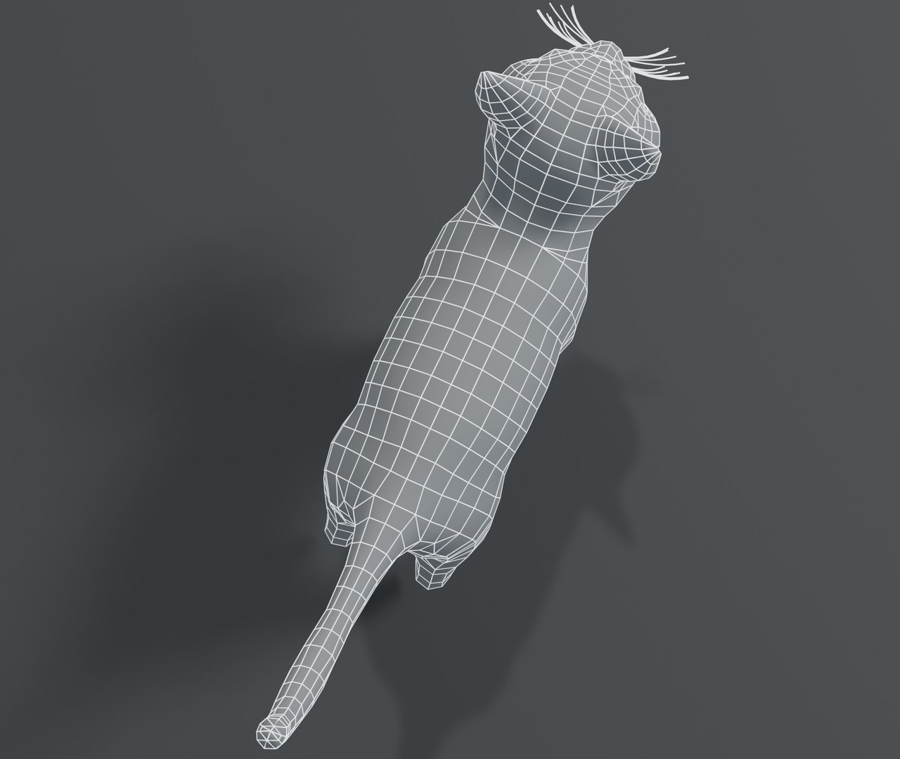 cartoon cat base mesh 3D model https://p.turbosquid.com/ts-thumb/YR/nTknGM/f094WO4H/18/jpg/1587050267/1920x1080/fit_q87/765d97a4c5c1732c7ef3afc67ab8ec81d7357b0c/18.jpg