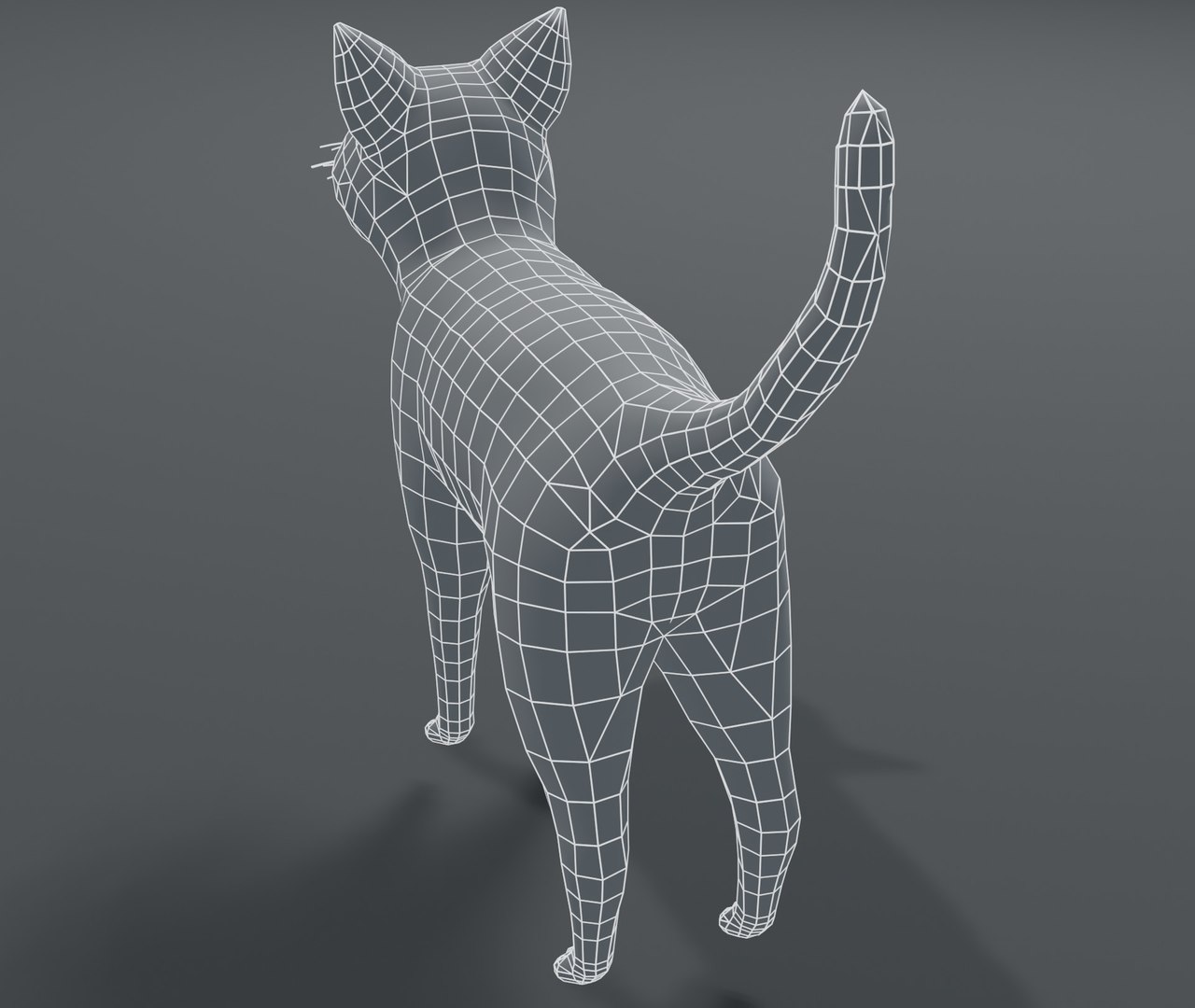 Cartoon Cat Base Mesh 3D Model - TurboSquid 1543032