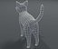 Modelo 3D de malla de base de gato de dibujos animados