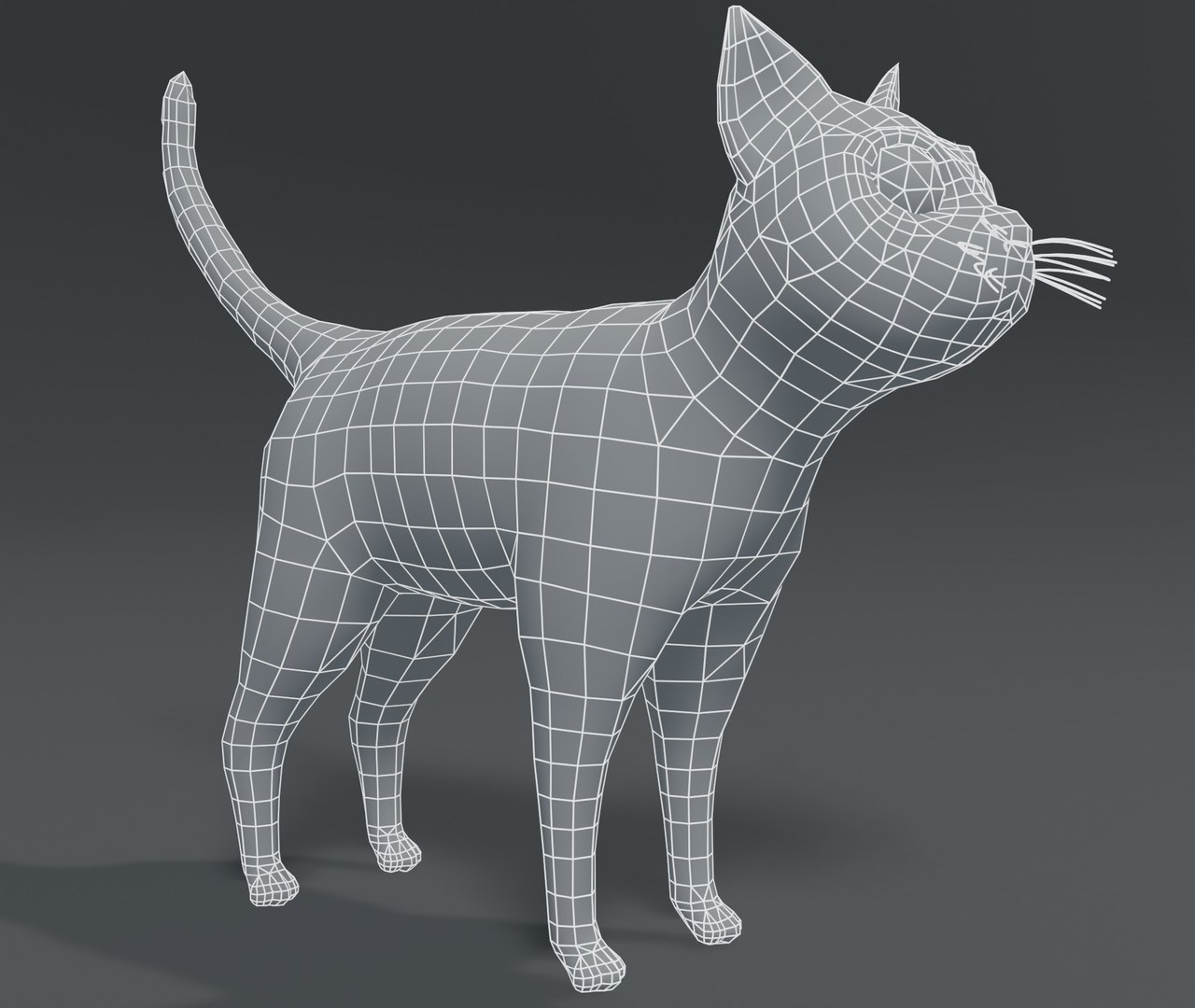 Cartoon Cat Base Mesh 3D Model - TurboSquid 1543032